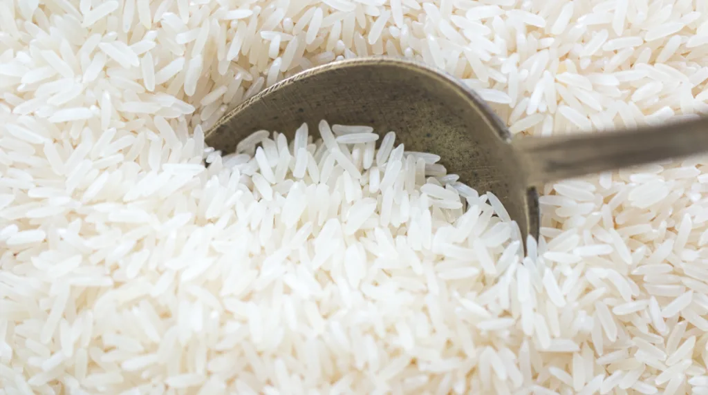 Fresh Rice Ready to Soak - Maja Blanca Recipe
