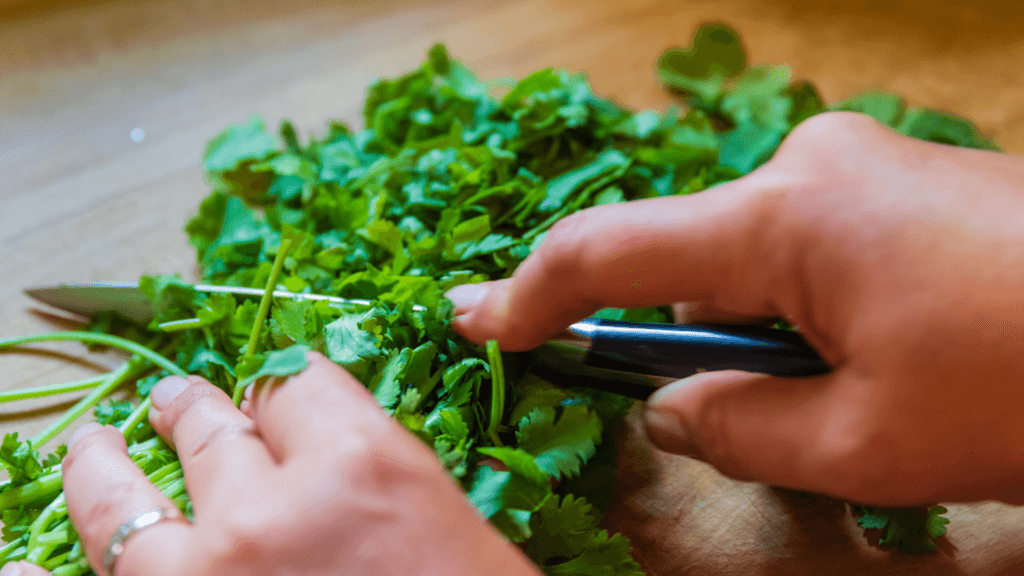Chopping Cilantro for Mayan Food Recipes