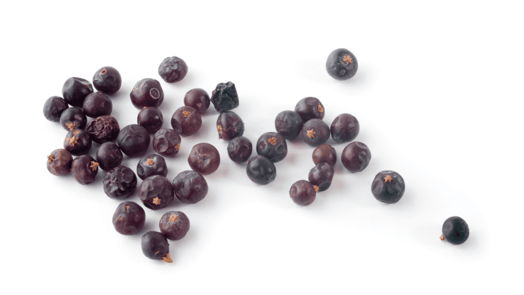 Allspice berries for Mayan Recado Blanco