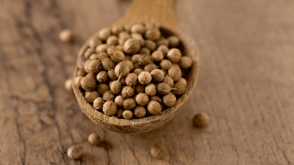 Cilantro seeds for Mayan Recado Blanco