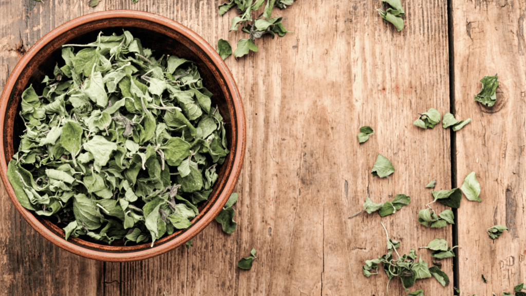 Dried oregano leaves for Mayan Recado Blanco
