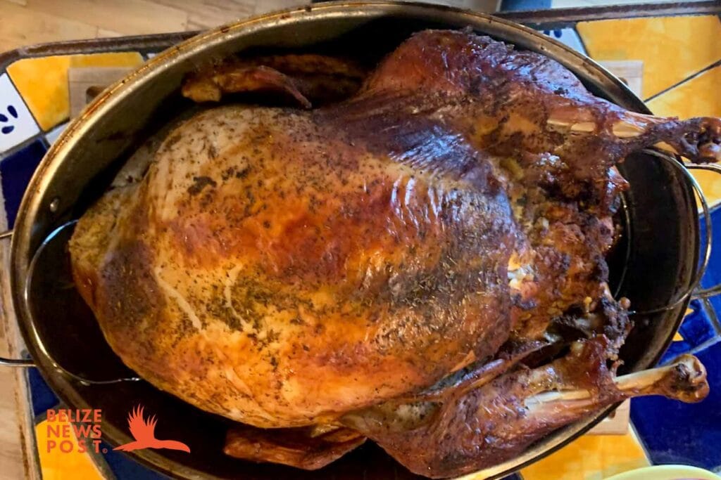 Belizean Style Turkey Recipe - Recado Brined Turkey - Belize News Post



