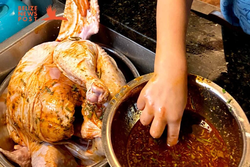 Rubbing recado spice blend on turkey. Preparing the Belizean recipe for Turkey for baking. 