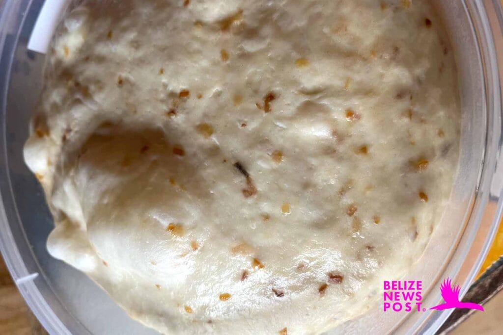 Belizean Bread Recipe - Dough Rising in Bowl - Onion Rolls Recipe - Belize News Post